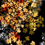 Colour:F
