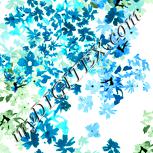Colour:K