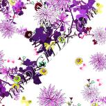 Colour:B