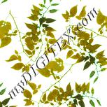 Colour:K