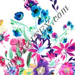 Colour:A