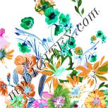 Colour:B