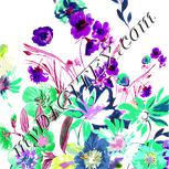 Colour:D