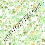Colour:K