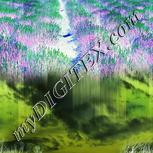 Colour:F