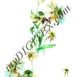 Colour:K