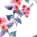Colour:B