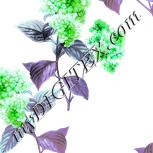 Colour:C
