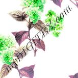 Colour:D
