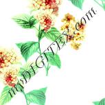 Colour:K