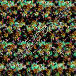 Colour:F