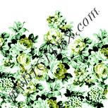 Colour:K