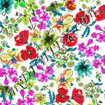 Colour:B