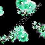 Colour:F