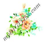 Colour:K