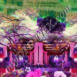 Colour:B