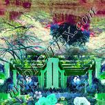 Colour:C