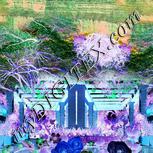 Colour:F