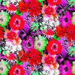 Colour:B