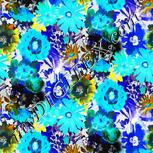 Colour:F