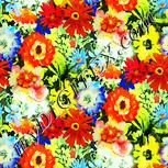 Colour:K