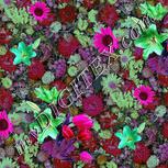 Colour:B