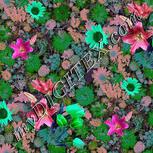 Colour:C