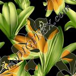 Colour:A