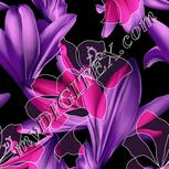 Colour:B