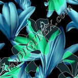 Colour:C