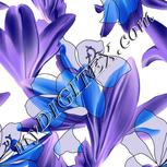 Colour:F