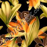 Colour:J