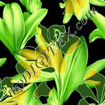 Colour:K