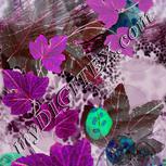 Colour:B