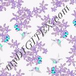 Colour:F