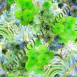 Colour:D