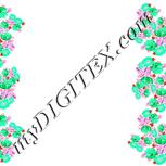 Colour:F