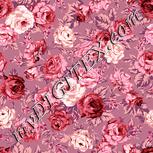 Colour:J