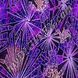 Colour:B