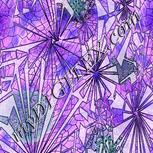 Colour:F