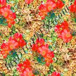 Colour:J