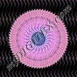 Colour:F