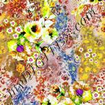Colour:A