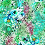 Colour:C