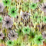 Colour:D