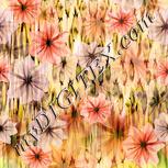 Colour:J