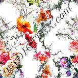 Colour:A