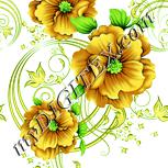 Colour:K