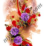 Colour:J