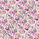 Colour:B